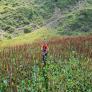 images/headers/gross/20220722_143740.jpg